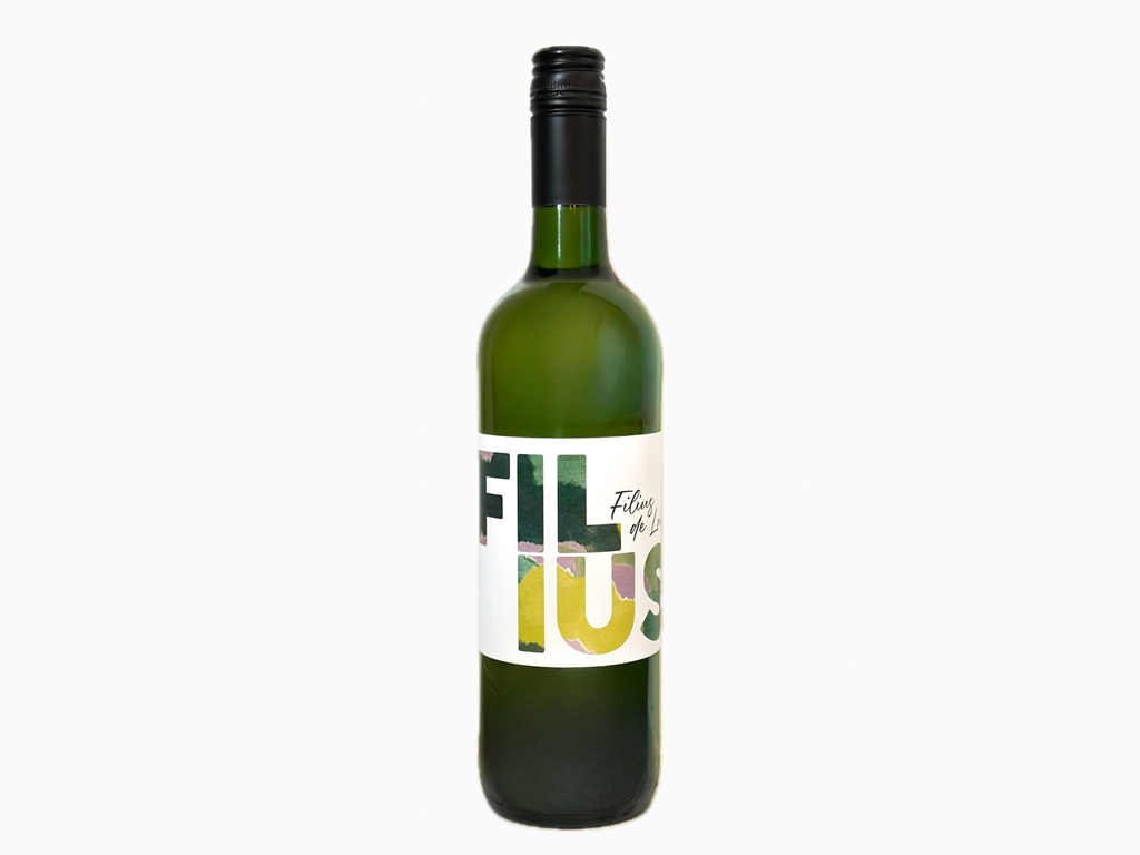 Filius de Lamothe Blanc 2024 - Bordeaux Blanc - 75cl 